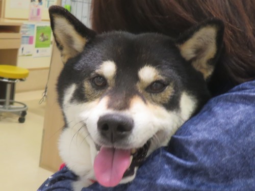 5 月 17 日の写真_c0174644_20154218.jpg