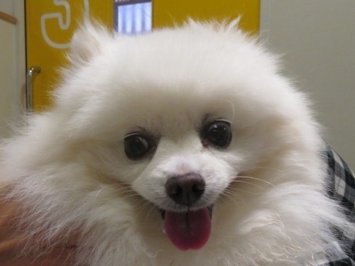 5 月 17 日の写真_c0174644_20155852.jpg