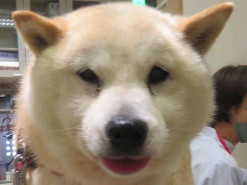 5 月 17 日の写真_c0174644_20165153.jpg