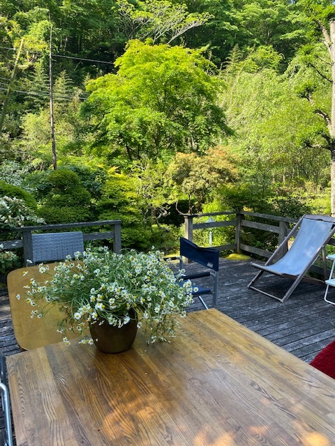 二年半振りの伊豆高原の再会 _b0396150_10423091.jpg