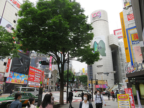 2022年5月17日㈫の109前交差点_a0398175_13523837.jpg