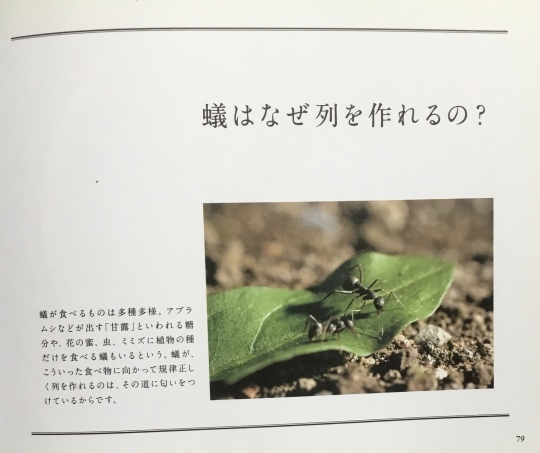 蟻 ５７５筆まか勢
