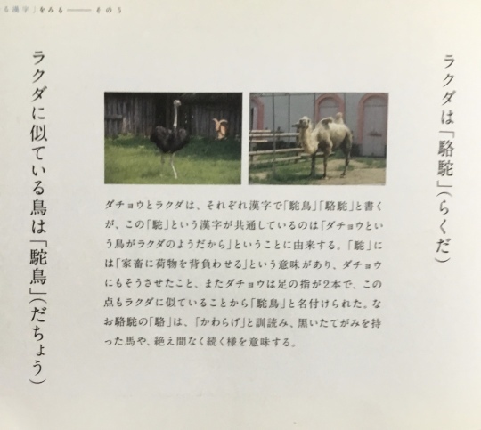 駝鳥 駱駝_b0223579_16593336.jpeg