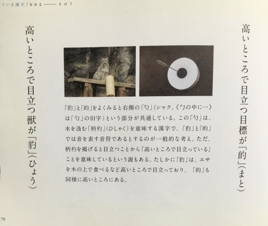 豹 的_b0223579_17052122.jpeg