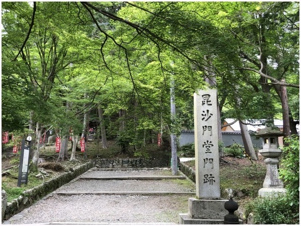 < 久々のウォーキング >_c0036080_11143669.jpg
