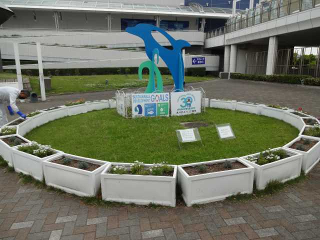 名古屋港水族館前のプランター花壇の植栽R4.5.9_d0338682_09270461.jpg