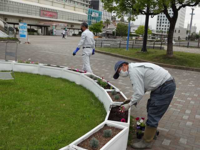 名古屋港水族館前のプランター花壇の植栽R4.5.9_d0338682_09283712.jpg