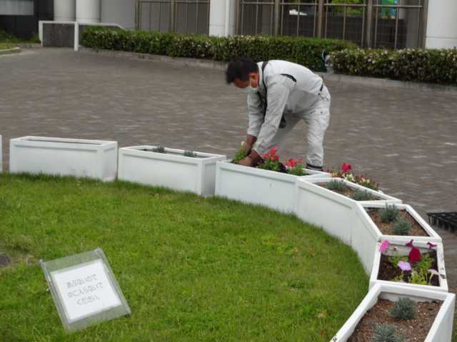 名古屋港水族館前のプランター花壇の植栽R4.5.9_d0338682_09284453.jpg