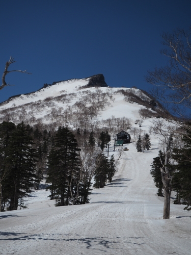 春の大雪山スキーの旅　2022_d0198793_16113381.jpg