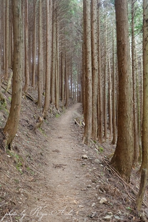 綿向山へ_f0332795_20365745.jpg