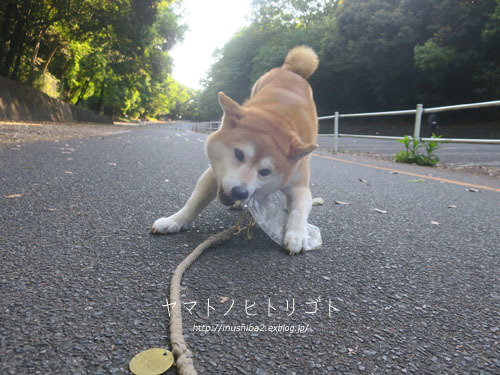 最近食べたもの【穀雨】①_e0394031_06151094.jpg