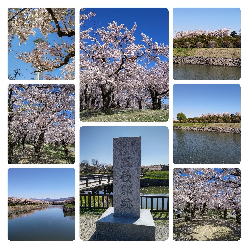 ２０２２年５月 ＧＷは桜前線を追いかけて函館へ♪【その２】_d0219834_07500211.jpg