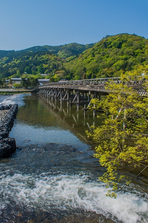 嵐山～竹林の小径_e0363038_09125878.jpg