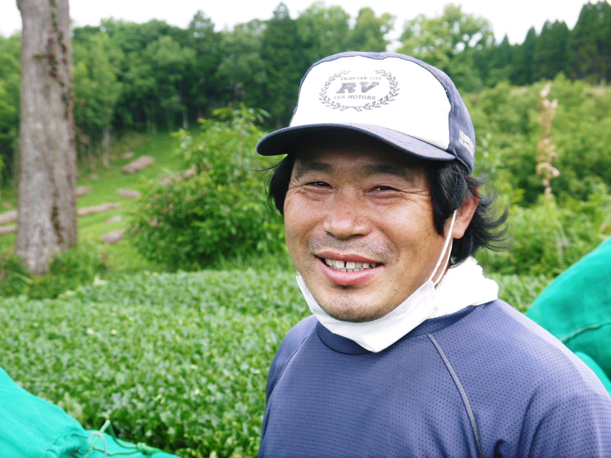 菊池水源茶　2022年の茶摘み最盛期です！まもなく新茶の販売開始です！(後編) _a0254656_18040485.jpg