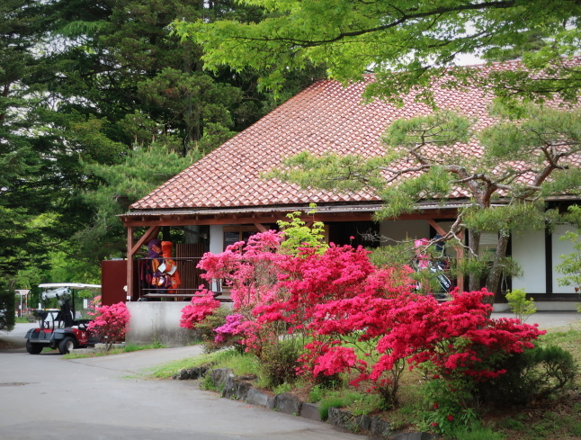 プリンス通り~旦念亭 * 町中ツツジが花盛り♪_f0236260_07024427.jpg
