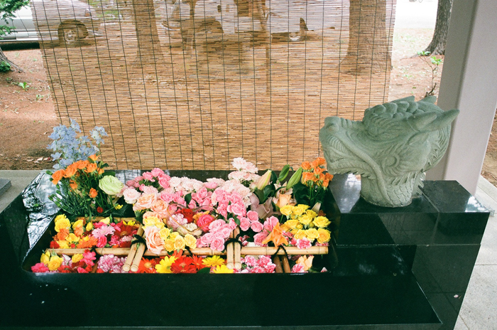 大谷地神社の花詣祭り_c0182775_09590372.jpg