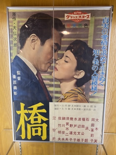 三人娘乾杯！