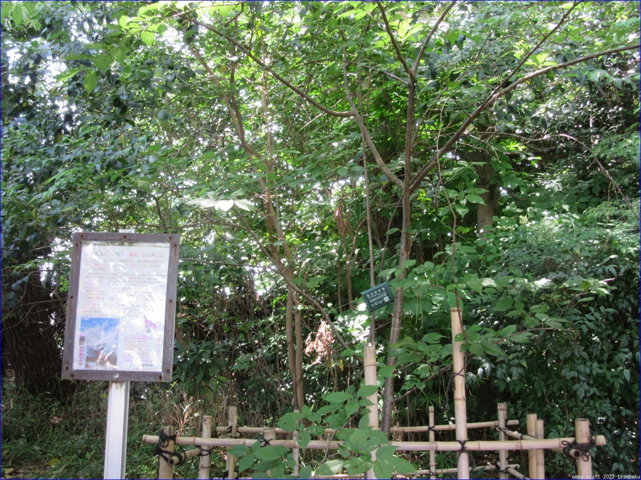蒲御厨の蒲神明宮と龍泉寺_c0376508_05490753.jpg