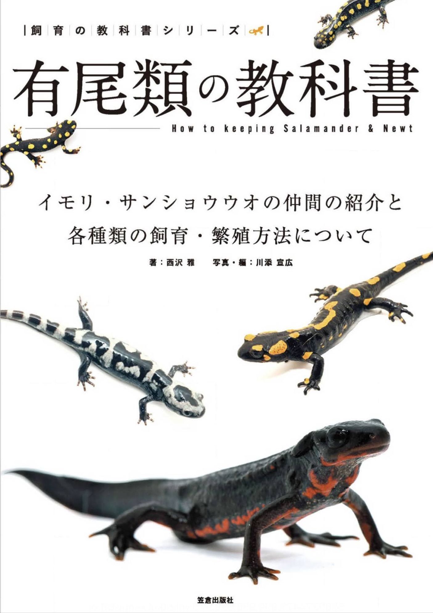 曇りがち_c0025115_21162347.jpg