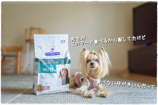 元気も食欲もあるけど。_d0179828_17481101.png