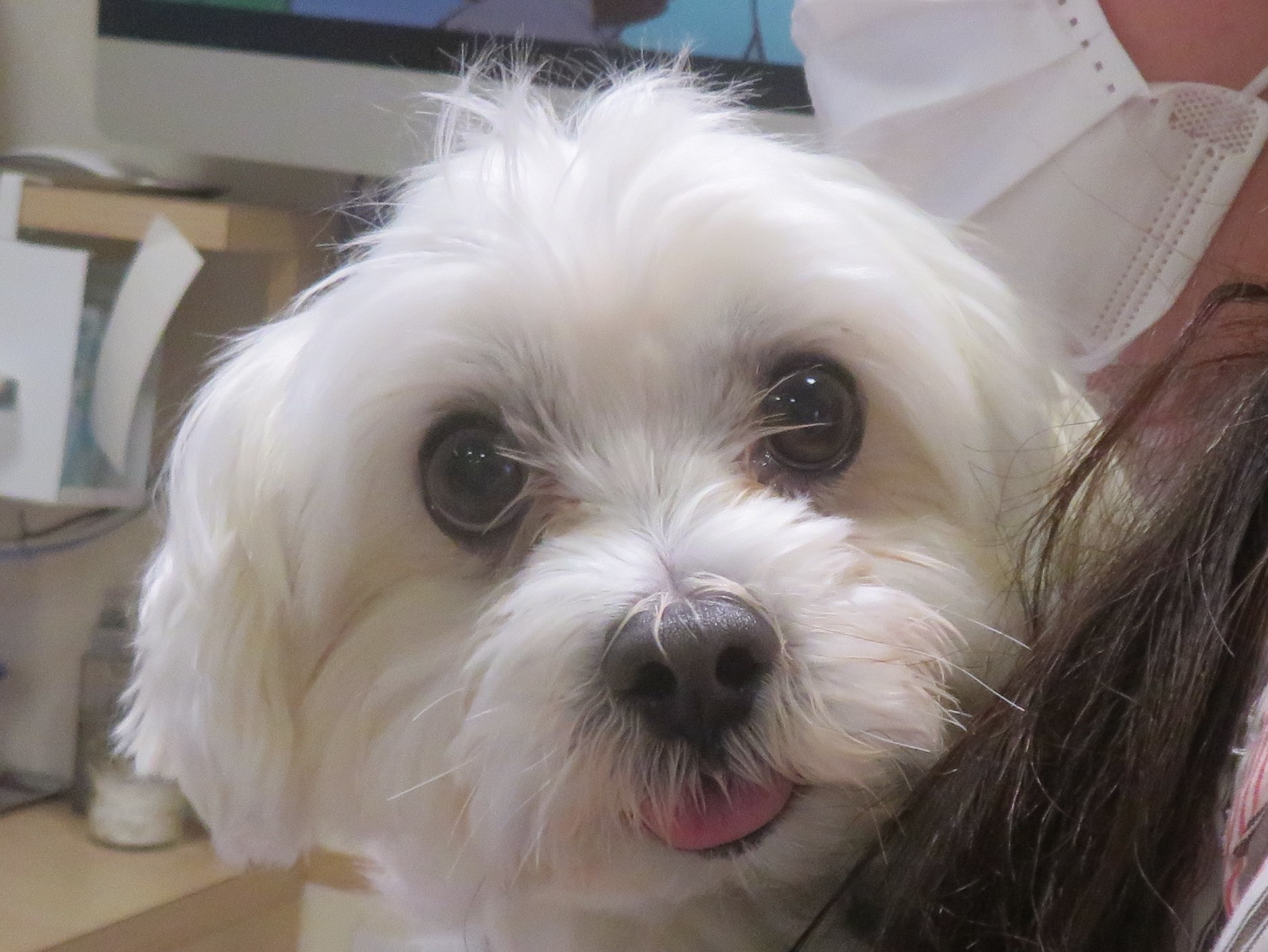 5 月 19 日の写真_c0174644_12531923.jpg