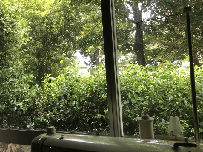 緑の中 アウトドア用の椅子の危険_d0101846_19373382.jpeg