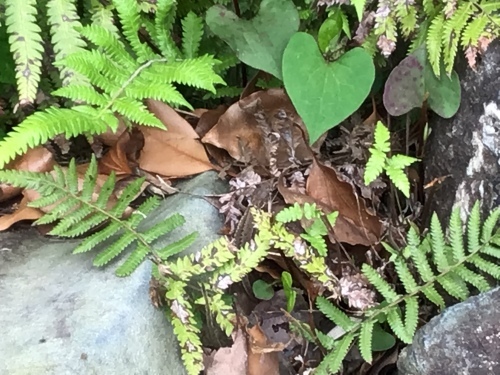 次元移動_a0384047_20193127.jpeg