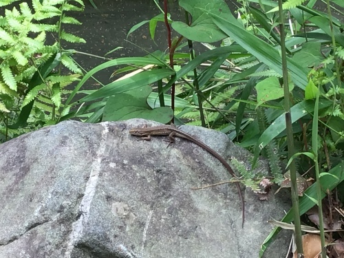 次元移動_a0384047_20211151.jpeg