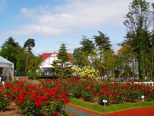 薔薇園_c0327752_15591946.jpg