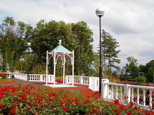 薔薇園_c0327752_15594500.jpg