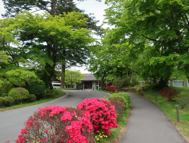 プリンス通り～旦念亭 ＊ 町中ツツジが花盛り♪_f0236260_13351580.jpg