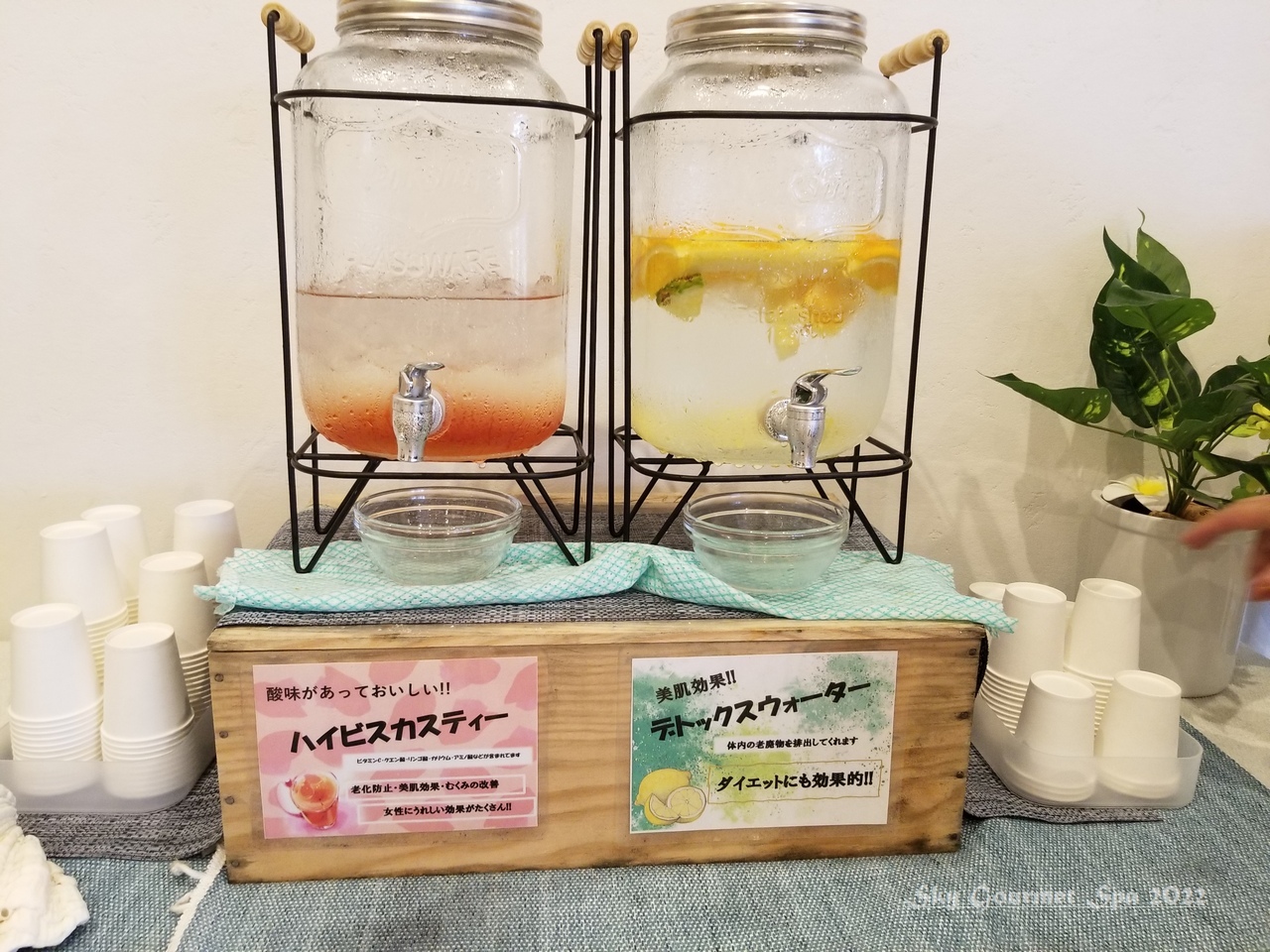◆ 「2021宮古・沖縄」その7、ホテルトリフィート宮古島リゾート(2021年6月)_d0316868_05361093.jpg