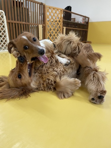 トレーニングブログ_f0357682_02030113.jpeg