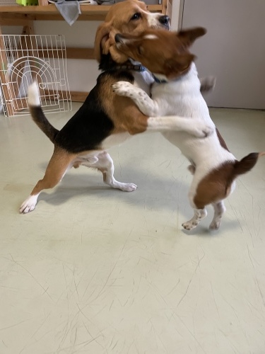 トレーニングブログ_f0357682_02073744.jpeg