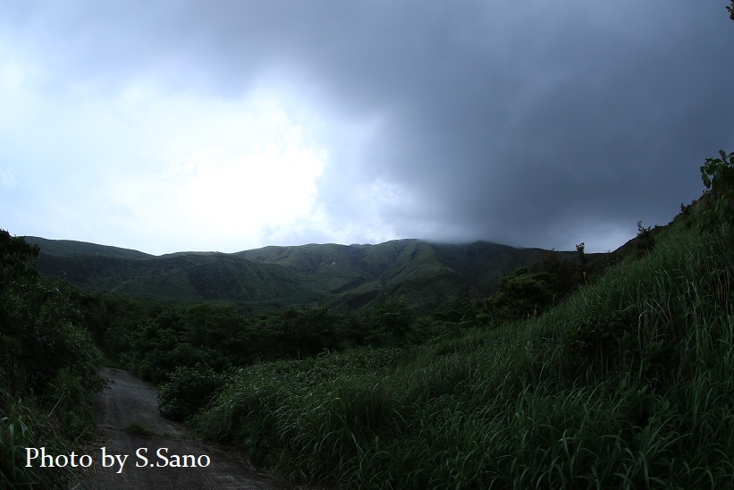 三宅島の旅（2022年5月）_b0348205_14141627.jpg