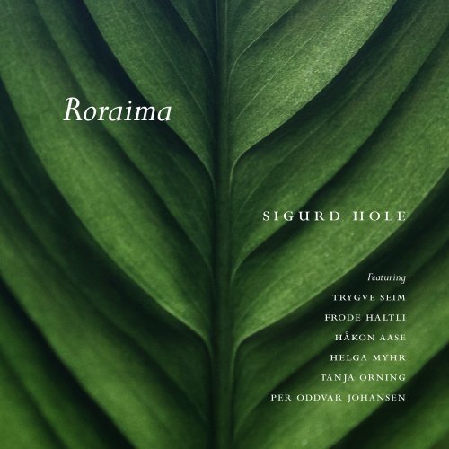  ベーシスト Sigurd Hole （スィッガード・ホール）、アルバム \"Roraima\" でドイツの賞を獲得_e0081206_10365837.jpg