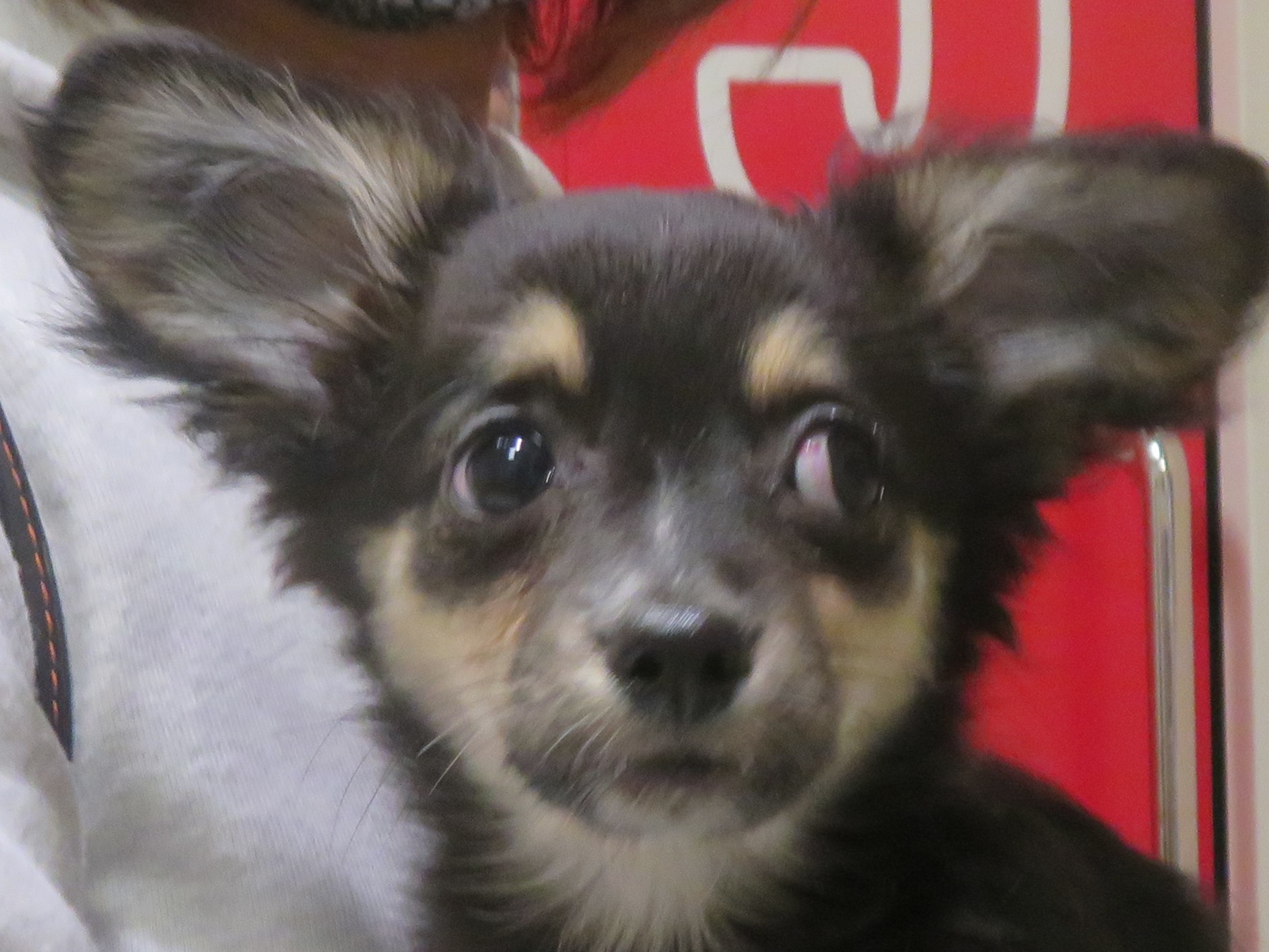 5 月 20 日の写真_c0174644_20514396.jpg