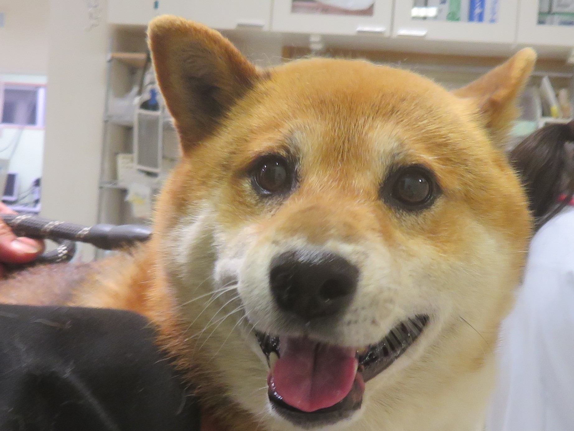5 月 20 日の写真_c0174644_20522028.jpg