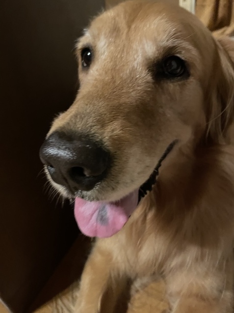 お休みモード。_a0394574_22490569.jpeg
