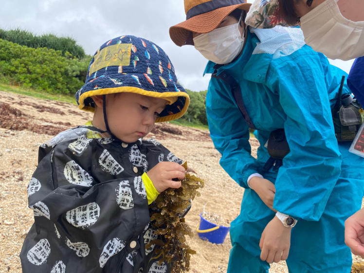 青空ようちえん〔平日〕さあ、探検に出かけよう!プチプチ海そうや軽石、今日は砂浜の漂着物が面白かった!_d0363878_04504170.jpg