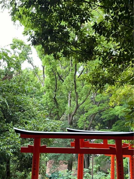 奈良へ‼️三輪山　檜原神社へ！！_b0174284_11310247.jpg