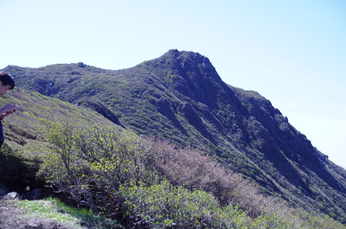 くじゅうの山旅 ③　2日め 大船山_e0195587_19414692.jpg