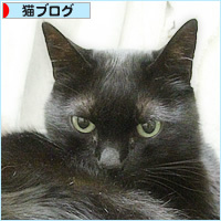 猫のお仕事_a0389088_19212645.jpg