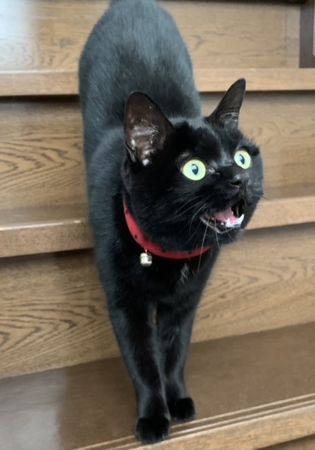 終わったー！_e0358096_22351848.jpeg