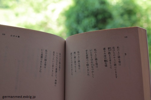 山羊の歌 ― 地上の楽園への慰問 ー_d0144726_17575978.jpg