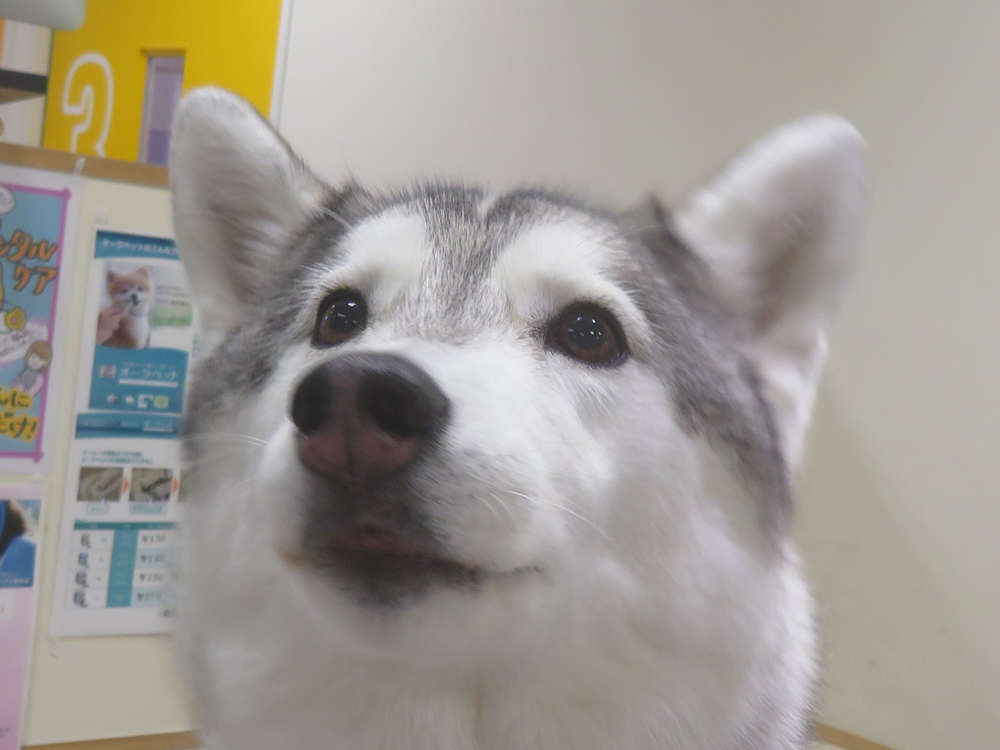 5月 21日の写真_c0174644_13004813.jpg