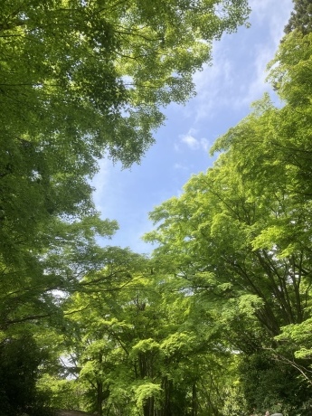 法螺貝練習会_b0097747_12374438.jpeg