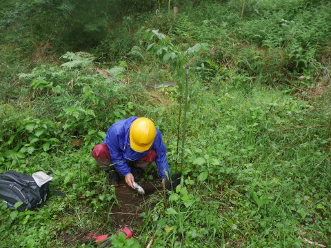 植樹本数目標の1000本突破5・21六国見山手入れ_c0014967_18093361.jpg