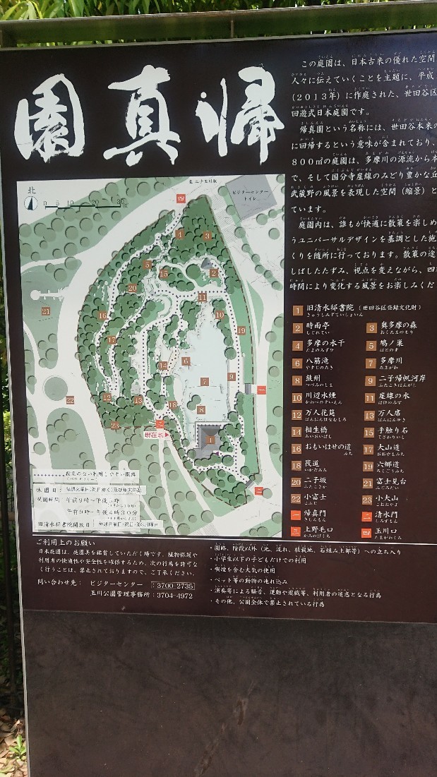 二子玉川散歩_e0376371_12133918.jpg