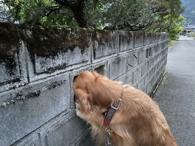 終活は、一つ一つ大切に。_a0394574_21200129.jpeg